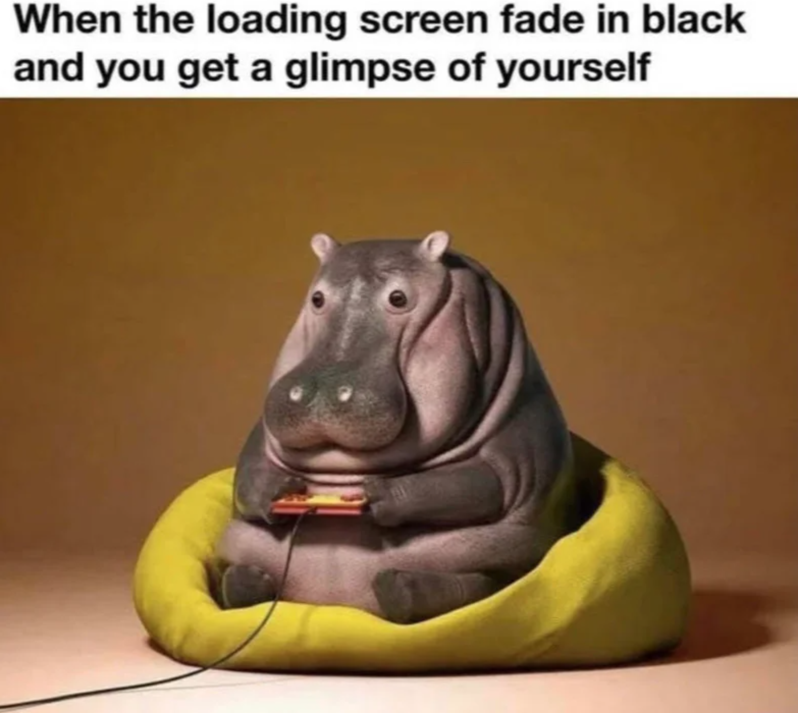 funny gaming memes - hippo on yellow bean bag - When the loading screen fade in black and you get a glimpse of yourself