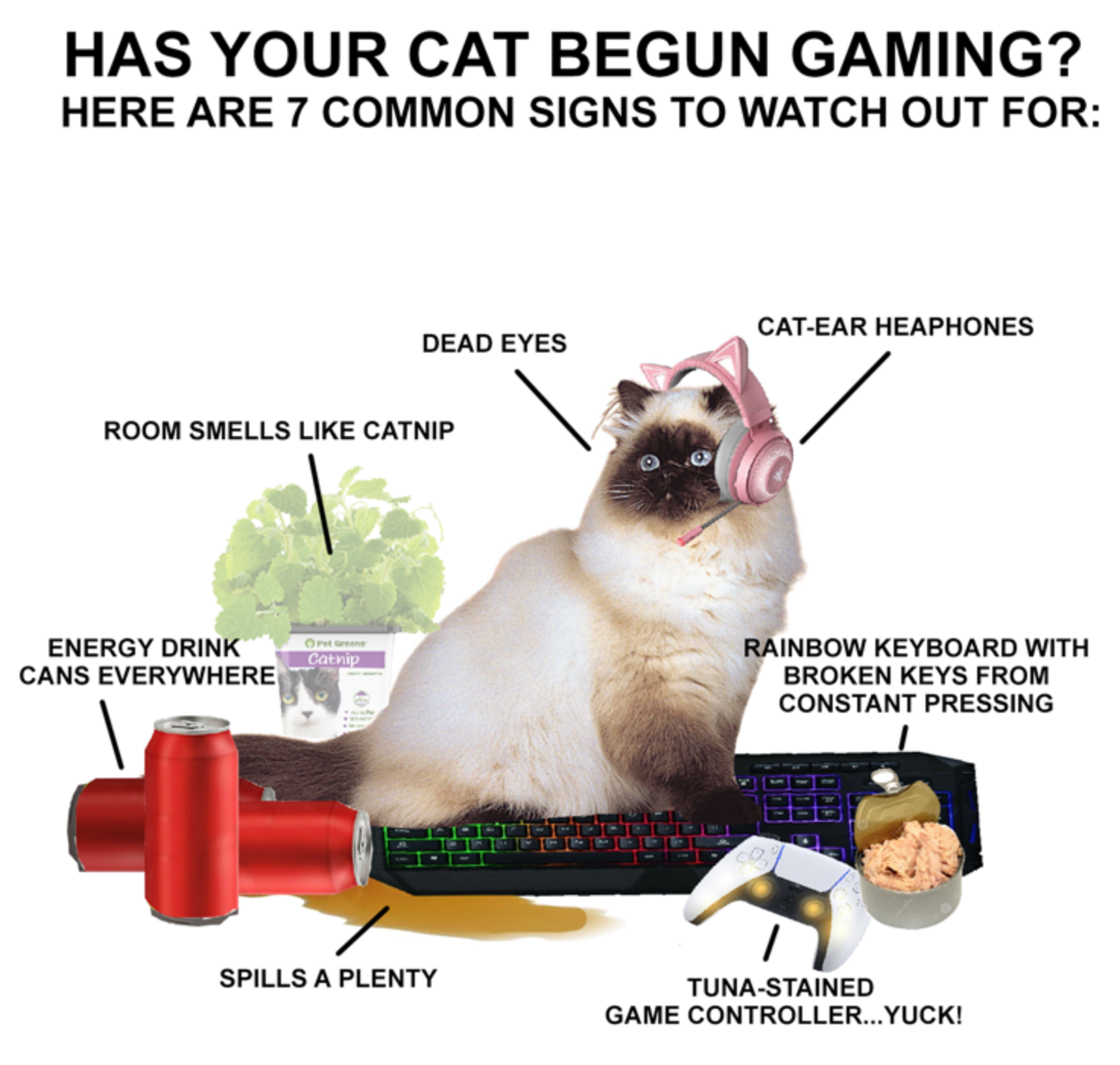 funny gaming memes - cat - Has Your Cat Begun Gaming? Here Are 7 Common Signs To Watch Out For Dead Eyes CatEar Heaphones Room Smells Catnip Energy Drink Cans Everywhere Rainbow Keyboard With Broken Keys From Constant Pressing Spills A Plenty TunaStained 