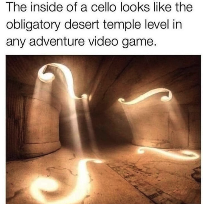 funny gaming memes - inside of a cello meme - The inside of a cello looks the obligatory desert temple level in any adventure video game.