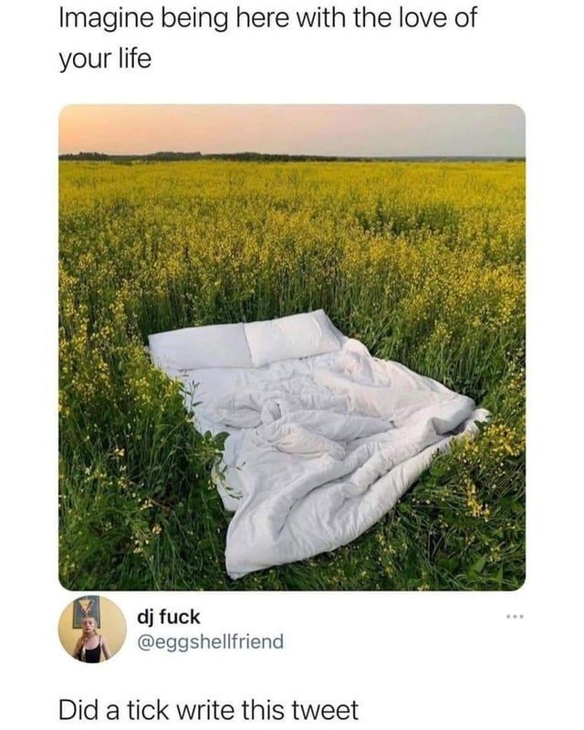 hilarious internet responses and comments - imagine being here with the love of your life - Imagine being here with the love of your life dj fuck Did a tick write this tweet