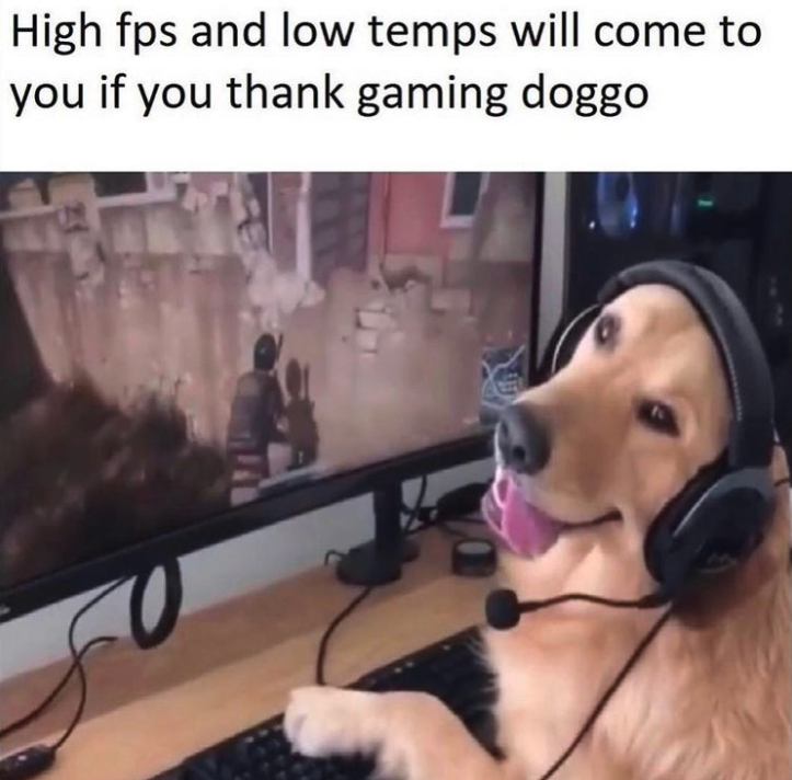 funny gaming memes - gaming doggo - High fps and low temps will come to you if you thank gaming doggo