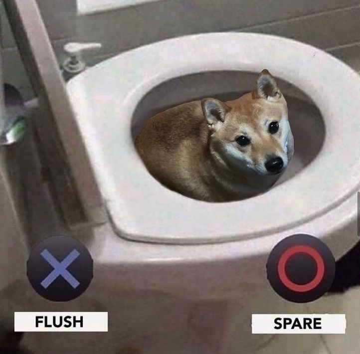 funny gaming memes - flush him or spare him - X Flush Spare