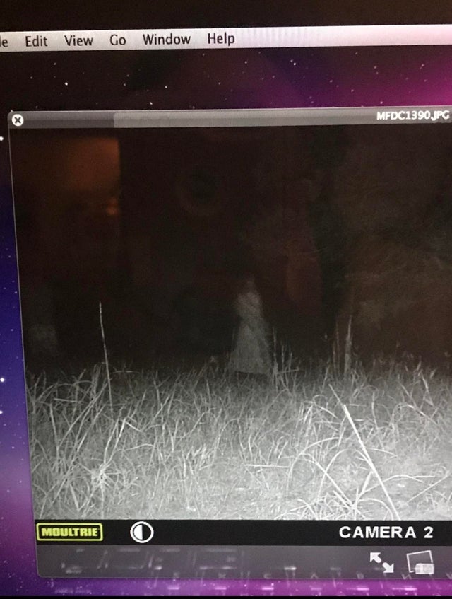 ghost photos - real ghosts - screenshot - le Edit View Go Window Help MFDC1390.Jpg Moultrie O Camera 2