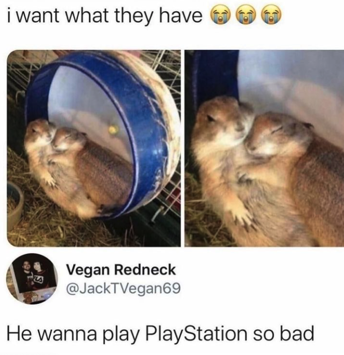 funny gaming memes - wanna play playstation so bad - i want what they have Vegan Redneck He wanna play PlayStation so bad