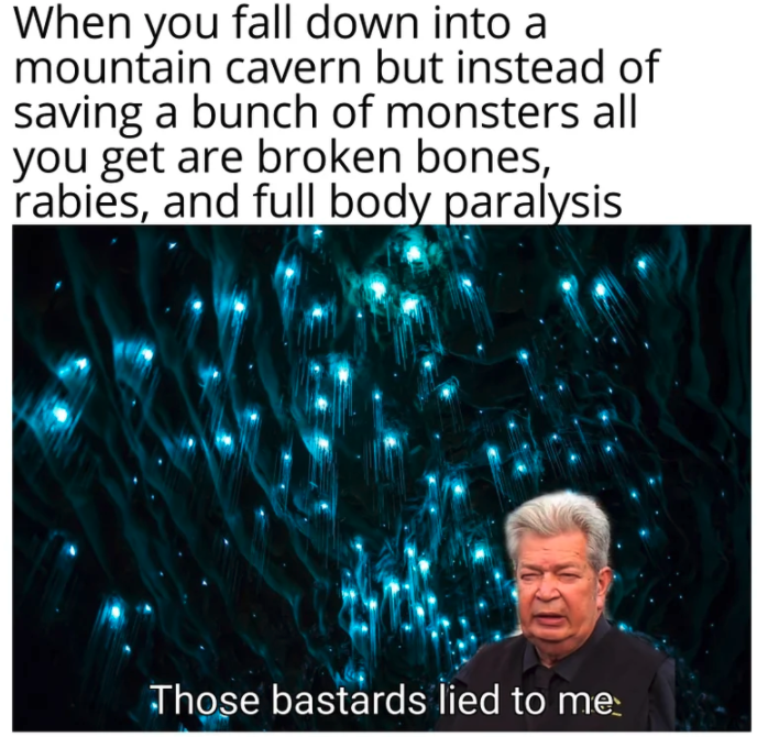 funny gaming memes - glow worms new zealand - When you fall down into a mountain cavern but instead of saving a bunch of monsters all you get are broken bones, rabies, and full body paralysis Those bastards lied to me