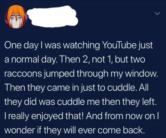 people lying on the internet -lyrics - > One day I was watching YouTube just a normal day. Then 2, not 1, but two raccoons jumped through my window. Then they came in just to cuddle. All they did was cuddle me then they left. I really enjoyed that! And fr