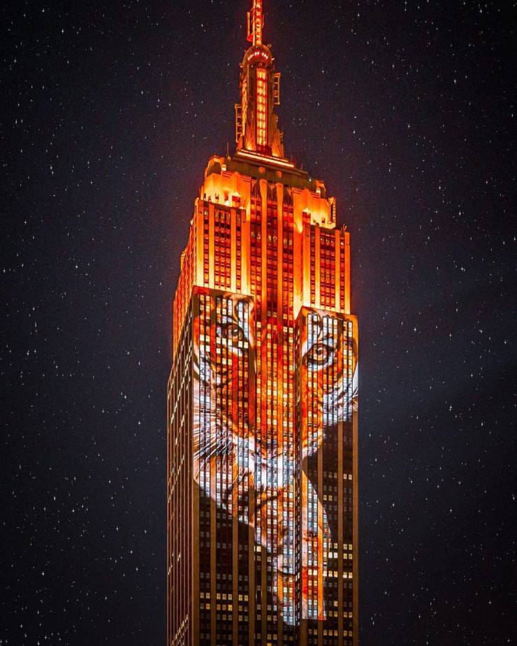 awesome random pics and photos - empire state building