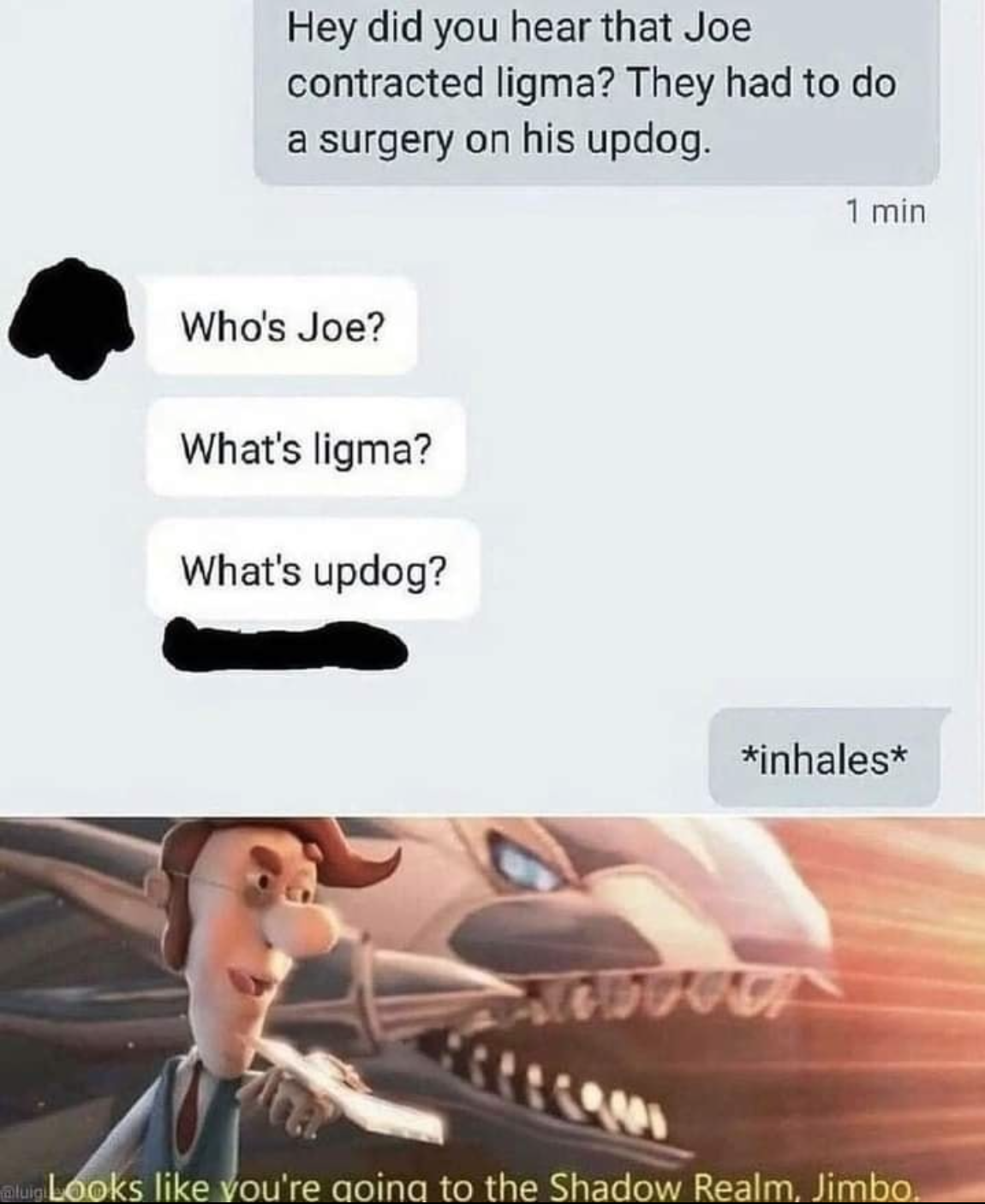 funny gaming memes - banished to the shadow realm - Hey did you hear that Joe contracted ligma? They had to do a surgery on his updog. 1 min Who's Joe? What's ligma? What's updog? inhales mus Looks you're going to the Shadow Realm, Jimbo