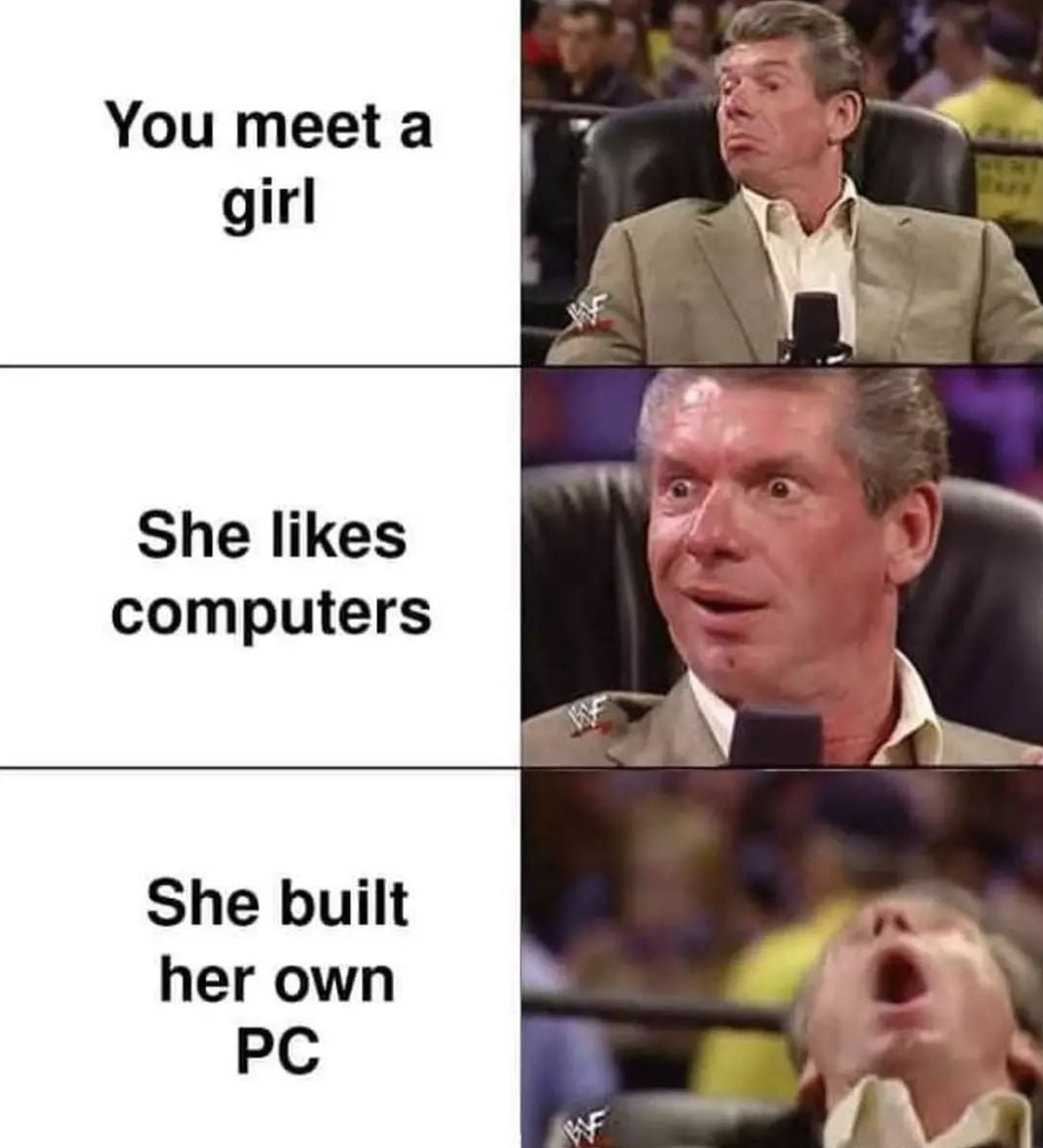 funny gaming memes - vince mcmahon meme blank - You meet a a girl She computers She built her own Pc