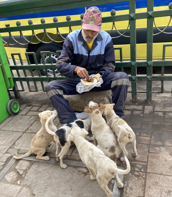 “A street cleaner feeding stray dogs.”