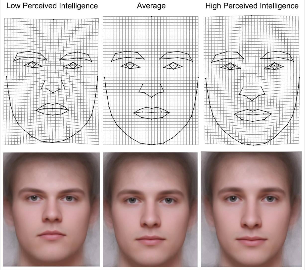 average faces - composite portraits - do smart people look - Low Perceived Intelligence Average High Perceived Intelligence 10 To a