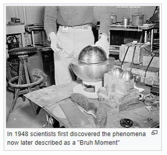 wikipedia vandalism - funny wikipedia edits - demon core - In 1948 scientists first discovered the phenomena 5 now later described as a "Bruh Moment"