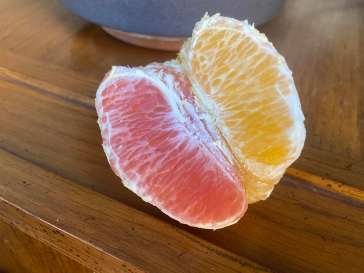 ’’My tangerine had segments in 2 shades of orange.’’