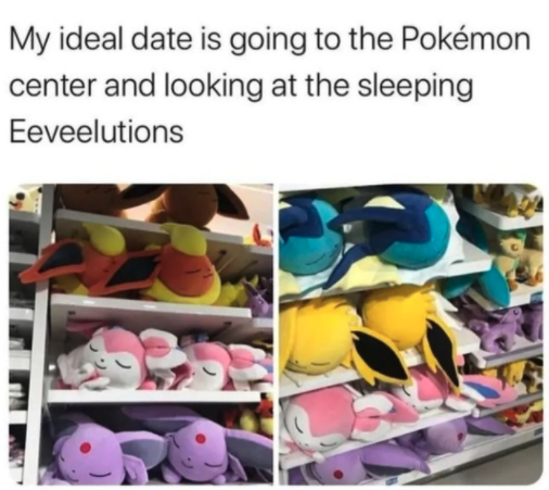 funny gaming memes - plastic - My ideal date is going to the Pokmon center and looking at the sleeping Eeveelutions