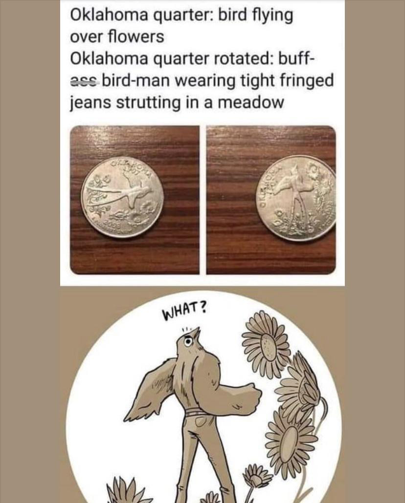 twitter memes - oklahoma quarter meme - Oklahoma quarter bird flying over flowers Oklahoma quarter rotated buff ass bird man wearing tight fringed jeans strutting in a meadow What? I