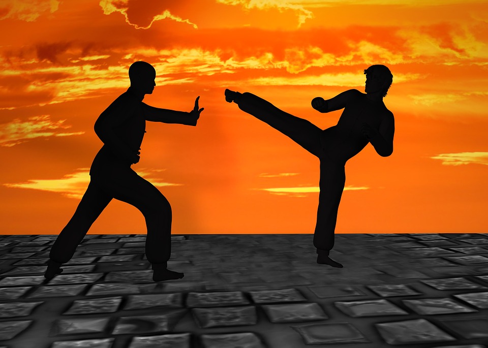 self defense tips - reddit - action picture of kung fu from pixabay