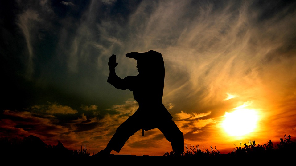 self defense tips - reddit - silhouette karate sunset