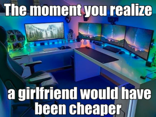 funny gaming memes - nice gaming office - The moment you realize a girlfriend would have been cheaper