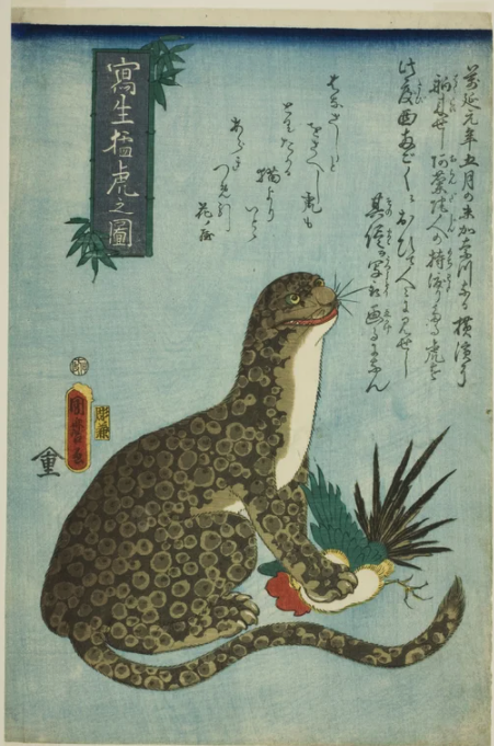 artifacts from history  - Picture of a Ferocious Tiger Drawn from Life by Utagawa Kunimaro I. Japan, Edo period, 1860