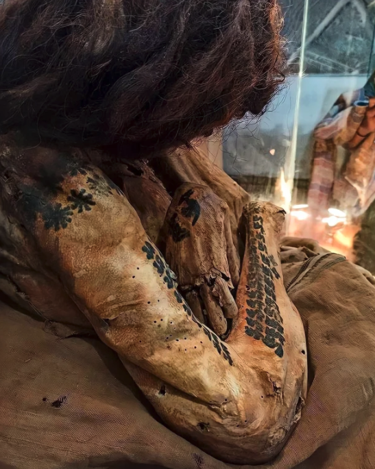 artifacts from history  - 1,700-year-old female mummy with visible tattoos on her arms. Nazca culture, now on display at the Maria Reiche Museum in Peru