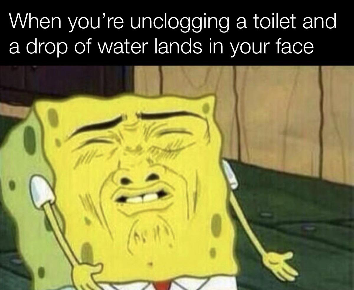 funny and dank memes  - eww meme - When you're unclogging a toilet and a drop of water lands in your face