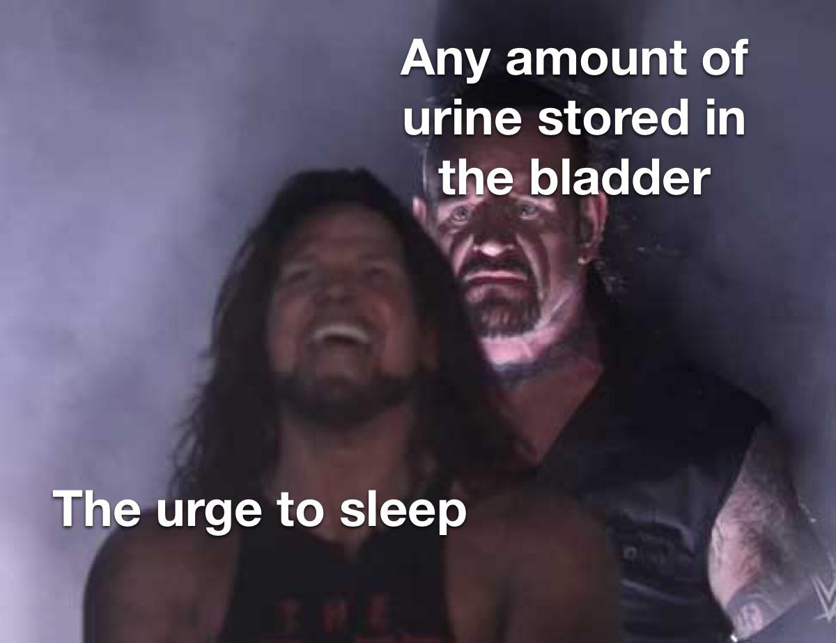 funny and dank memes  - pickup truck behind me meme - Any amount of urine stored in the bladder The urge to sleep