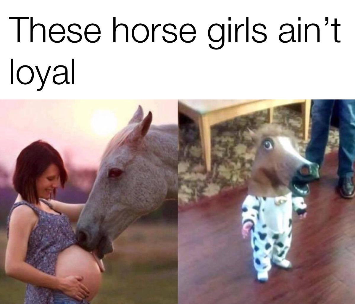 funny and dank memes  - funniest picture on internet - These horse girls ain't loyal