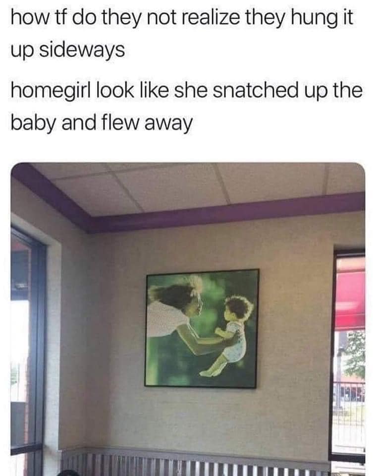 random memes and pics - tf do they not realize they hung - how tf do they not realize they hung it up sideways homegirl look she snatched up the baby and flew away