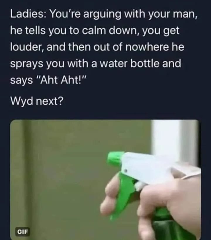 random memes and pics - material - Ladies You're arguing with your man, he tells you to calm down, you get louder, and then out of nowhere he sprays you with a water bottle and says "Aht Aht!" Wyd next? Gif