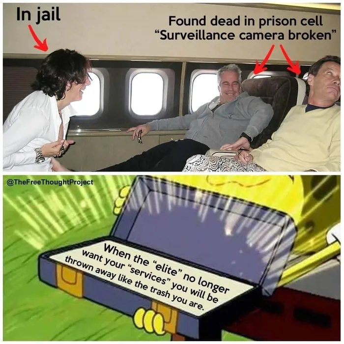 random memes and pics - yeeting memes - In jail Found dead in prison cell "Surveillance camera broken" ThoughtProject When the "elite no longer want your services" you will be thrown away the trash you are.