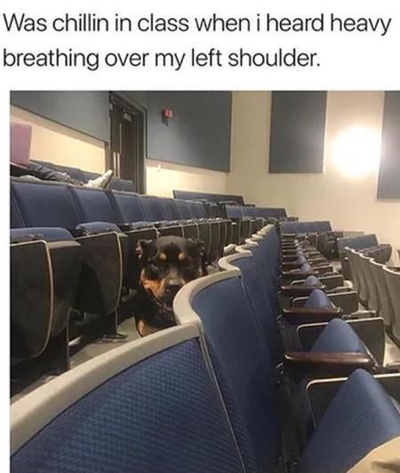 random memes and pics - auditorium - Was chillin in class when i heard heavy breathing over my left shoulder.