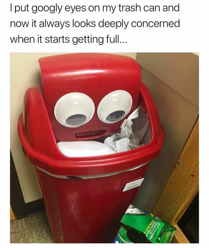 random memes and pics - put googly eyes on my trash can - I put googly eyes on my trash can and now it always looks deeply concerned when it starts getting full...