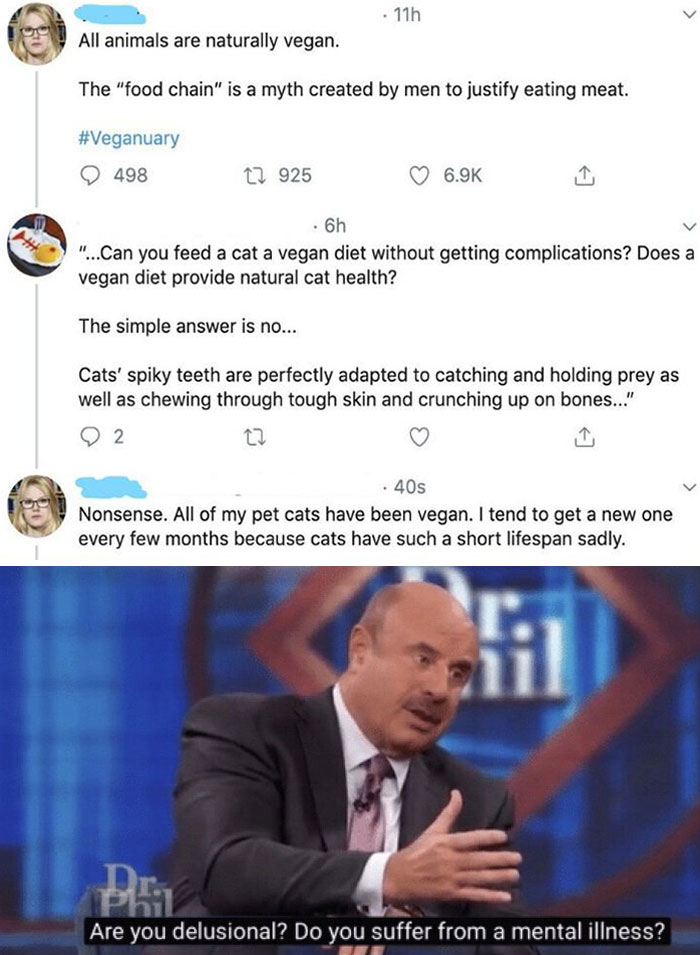 super entitled people - dr phil funny - 11h All animals are naturally vegan. The "food chain" is a myth created by men to justify eating meat. 498 22 925 1 .6h "...Can you feed a cat a vegan diet without getting complications? Does a vegan diet provide na