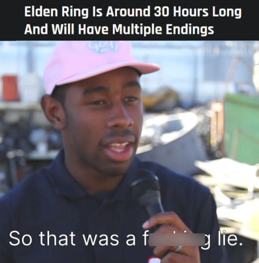 gaming memes - place des vosges - Elden Ring Is Around 30 Hours Long And Will Have Multiple Endings So that was af glie.
