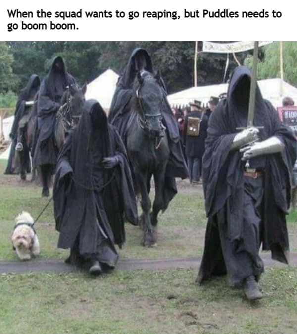 relatable memes - nazgul dog - When the squad wants to go reaping, but Puddles needs to go boom boom.