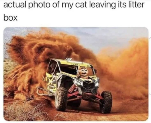 relatable memes - loveday 4x4 park - actual photo of my cat leaving its litter box