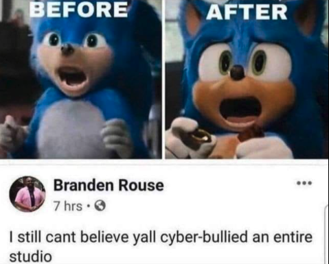 gaming memes - sonic animation - Before After Branden Rouse 7 hrs. I still cant believe yall cyberbullied an entire studio