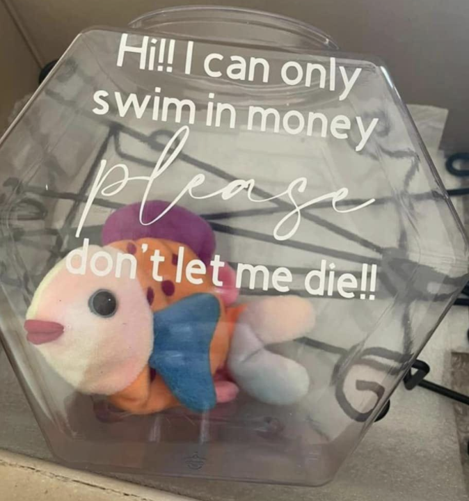 trashy wedding ideas - stuffed toy - Hi!! I can only swim in money don't let me die!!