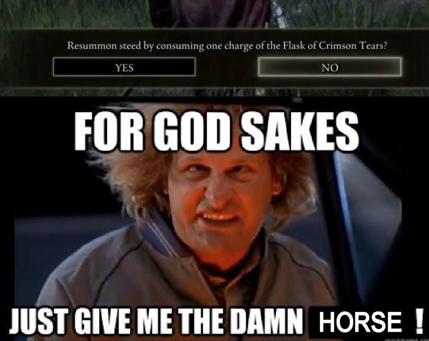 elden ring memes - photo caption - Resummon steed by consuming one charge of the Flask of Crimson Tears? Yes No For God Sakes Just Give Me The Damn Horse !