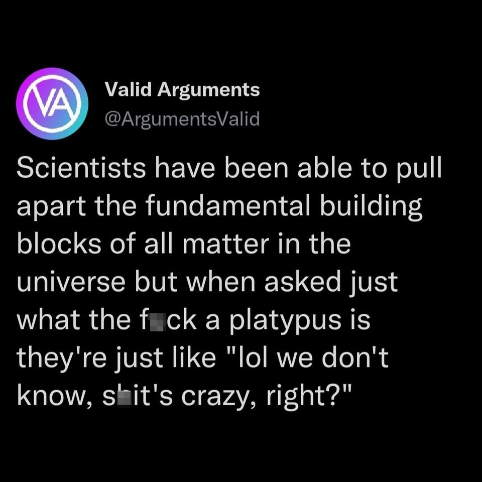 funny tweets and twitter memes - atmosphere - Va Valid Arguments Scientists have been able to pull apart the fundamental building blocks of all matter in the universe but when asked just what the fuck a platypus is they're just "lol we don't know, shit's 