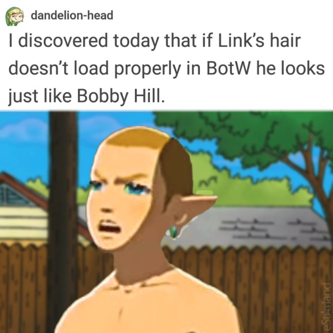 funny gaming memes - cartoon - dandelionhead I discovered today that if Link's hair doesn't load properly in BotW he looks just Bobby Hill. Durum