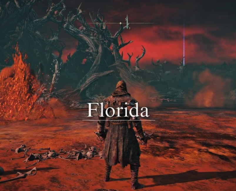 funny gaming memes - sky - Florida