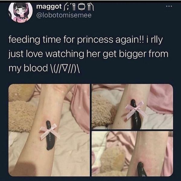 nope and cringe pics - hand - maggot i'ion feeding time for princess again!! i rlly just love watching her get bigger from my blood \\ \