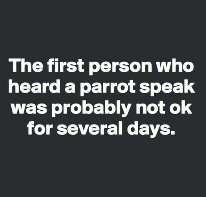dank memes - graphics - The first person who heard a parrot speak was probably not ok for several days.