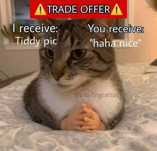 dirty memes - dnd memes cat - Atrade Offer A I receive You receive Tiddy pic "haha nice"
