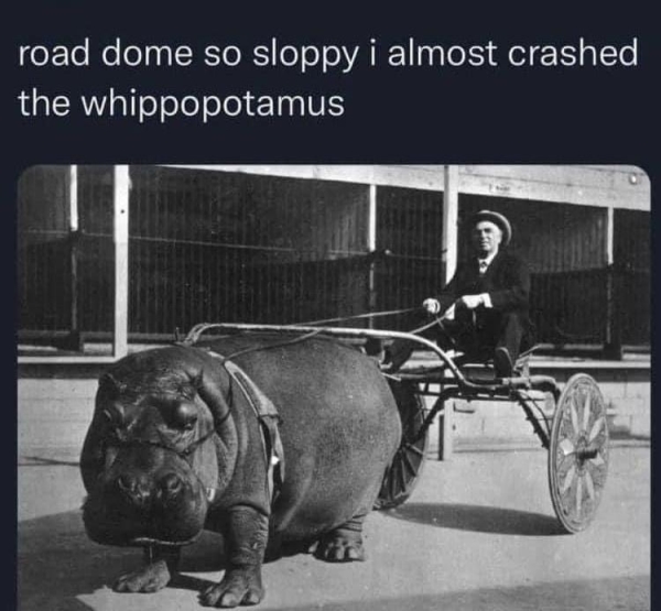 dirty memes - road dome so sloppy i almost crashed - road dome so sloppy i almost crashed the whippopotamus
