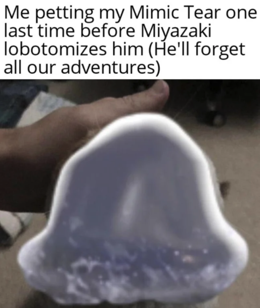 funny gaming memes - jaw - Me petting my Mimic Tear one last time before Miyazaki lobotomizes him He'll forget all our adventures