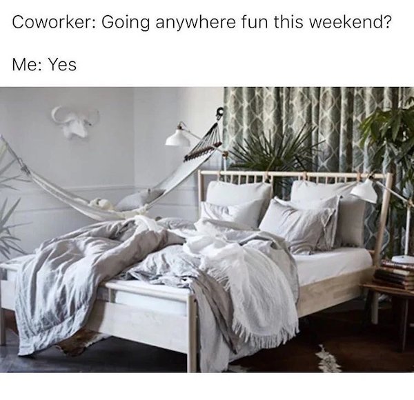work memes - Coworker Going anywhere fun this weekend? Me Yes