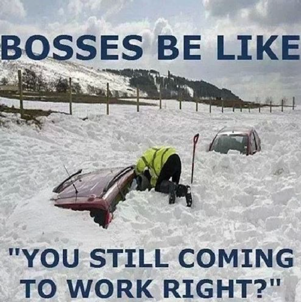 work memes - funny snow memes - Bosses Be "You Still Coming To Work Right?"
