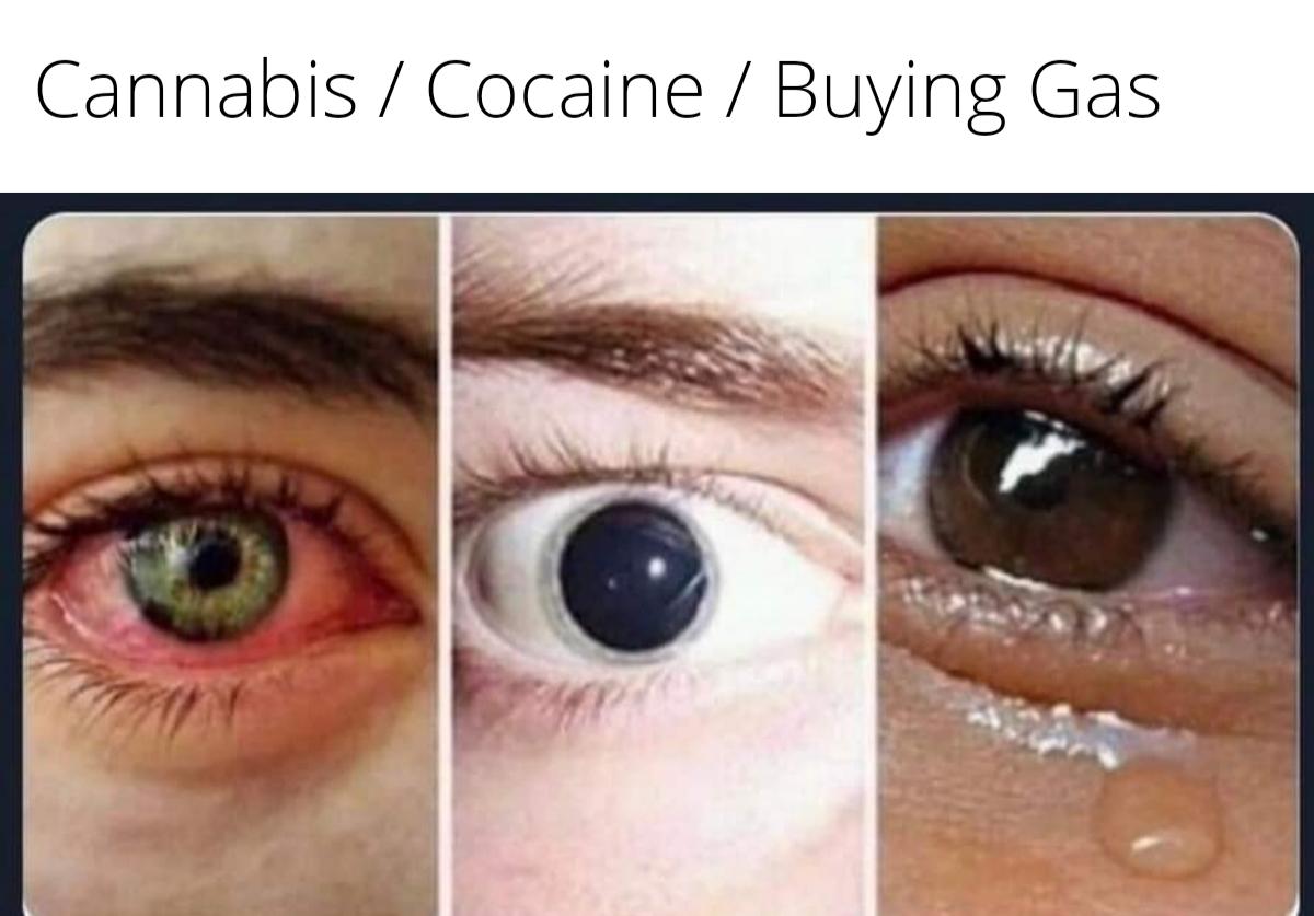 monday morning randomness - anime girl doing drugs - Cannabis Cocaine Buying Gas